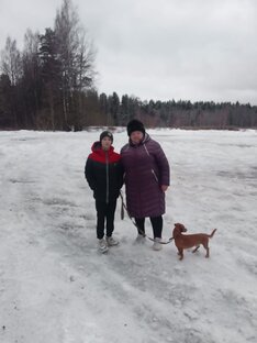Статистика Дзен Баба Люба.