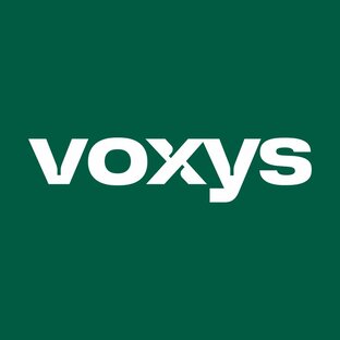 Статистика Дзен Voxys