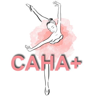 Статистика Дзен Студия САНА+