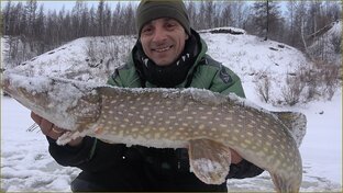 Логотип канала Рыбкин 39