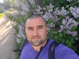 Статистика Дзен Новая Жизнь в Деревне