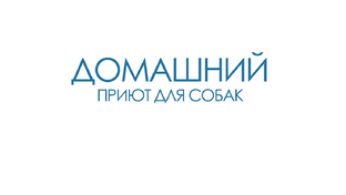 Статистика Дзен Приют "Домашний"