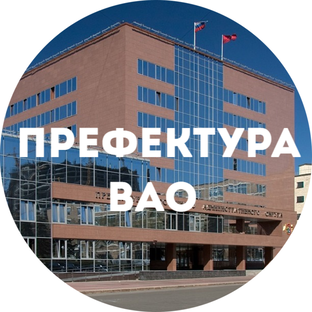 Статистика Дзен Префектура ВАО