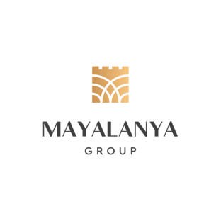 Статистика Дзен Mayalanya.ru