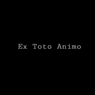 Статистика яндекс дзен Ex Toto Animo