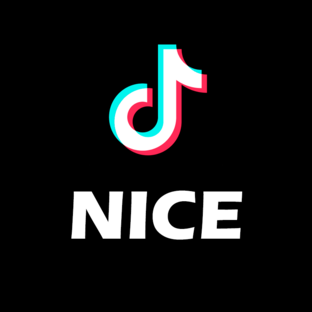 Дзен Tik Tok Nice статистика