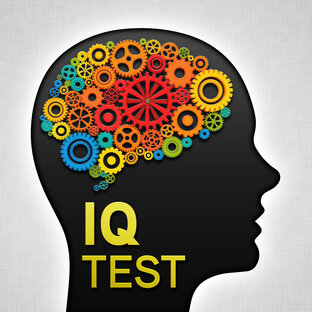 Дзен Тест IQ статистика