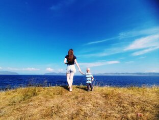 Дзен Агама мама статистика