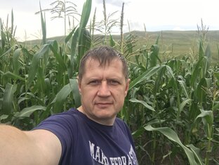 Статистика Дзен E_A_T_NSK
