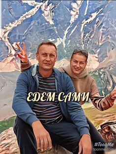 Статистика Дзен ЕДЕМ САМИ