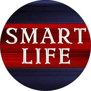 Статистика Дзен Smart Life