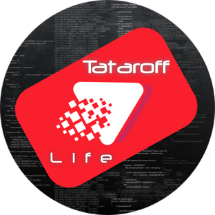 Статистика Дзен Tataroff life