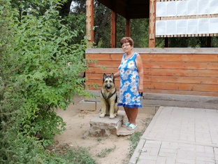 Статистика Дзен Мир глазами пенсионерки 