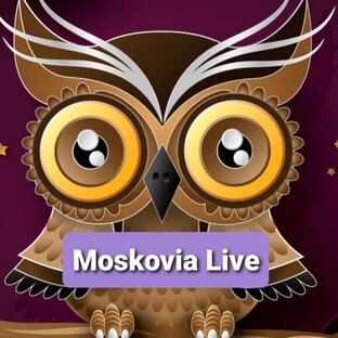 Статистика Дзен Moskovia Live