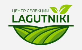 Статистика Дзен agrolagutniki