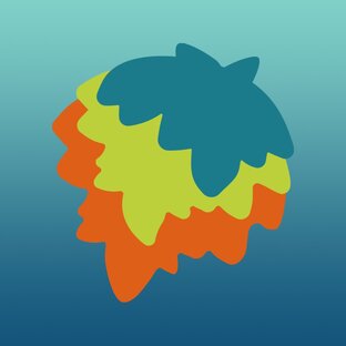Статистика Дзен Истринская долина