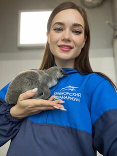 Статистика Дзен Ольга Демина 