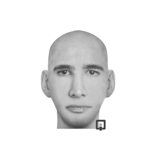 Статистика Дзен Хаски