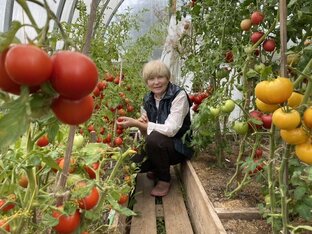 Статистика Дзен Огородный любитель