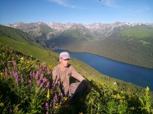 Дзен Артем Некрасов статистика