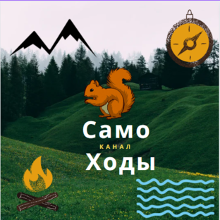 Статистика Дзен Само Ходы