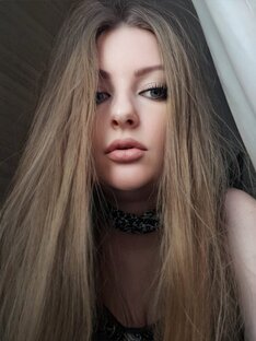Дзен  Эль Таро статистика