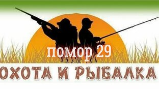 Статистика Дзен ПОМОР 29