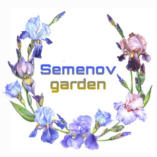 Статистика Дзен SemenovGarden 