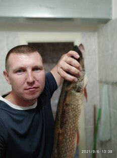 Логотип канала Жадная поклевка