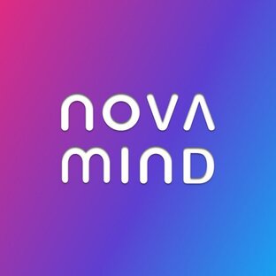 Статистика Дзен NovaMind