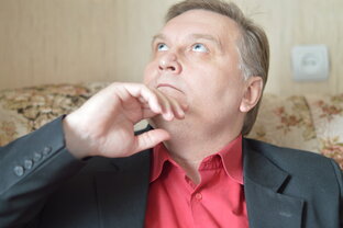Статистика Дзен Заяц