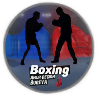 Статистика яндекс дзен boxing_bureya