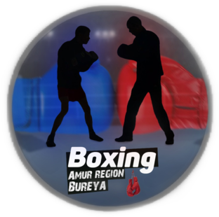 Статистика Дзен boxing_bureya
