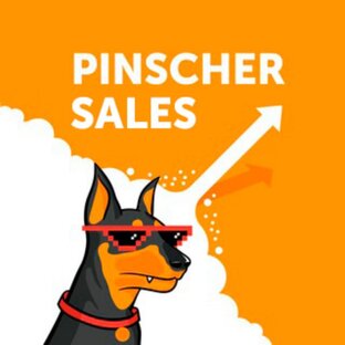 Статистика яндекс дзен PinscherS: Бизнес решения для отдела продаж