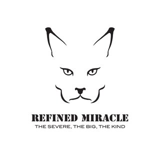 Статистика яндекс дзен Refined Miracle Ru