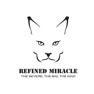Статистика Дзен Refined Miracle Ru