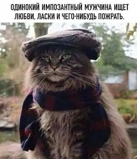 Дзен О разном, в том числе и о безобразном. статистика