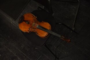 Статистика Дзен Симфонические аранжировки