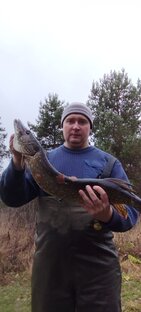 Статистика Дзен Рыбалка с новотором 