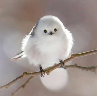 Дзен Прекрасное рядом статистика