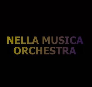 Nella musica orchestra логотип. Камерный оркестр «nella musica». Мультимедийный концерт «геркулес против рапунцель». Оркестр классика. Мультимедийный концерт миры миядзаки.