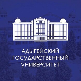 Статистика Дзен Адыгейский государственный университет