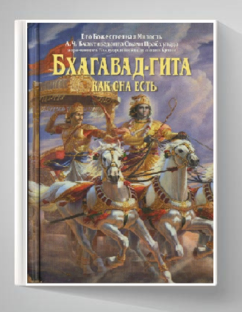 Статистика Дзен Духовная мудрость Земли