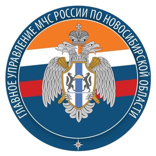 Статистика Дзен МЧС России по Новосибирской области
