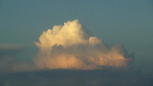 Дзен KAK TAK статистика