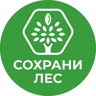 Статистика Дзен "Сохрани лес" — сервис по восстановлению погибших лесов
