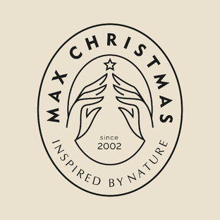 Статистика Дзен Max Christmas