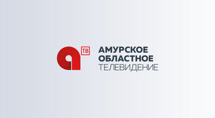 Статистика Дзен Амурское областное телевидение