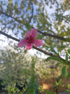 Дзен Анита Тимурова статистика
