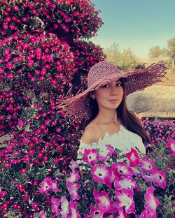 Статистика Дзен Екатерина Швиндт